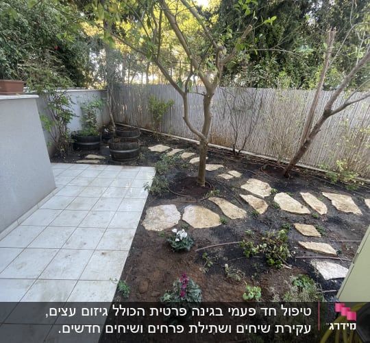 עץ, שביל אבנים, צמחים ופרחים בגינה